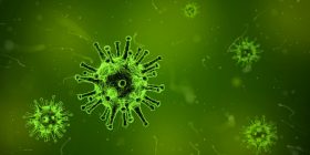Microbe Resistant Hoses
