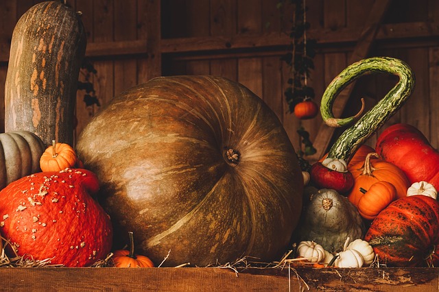 Pumpkins & Hoses