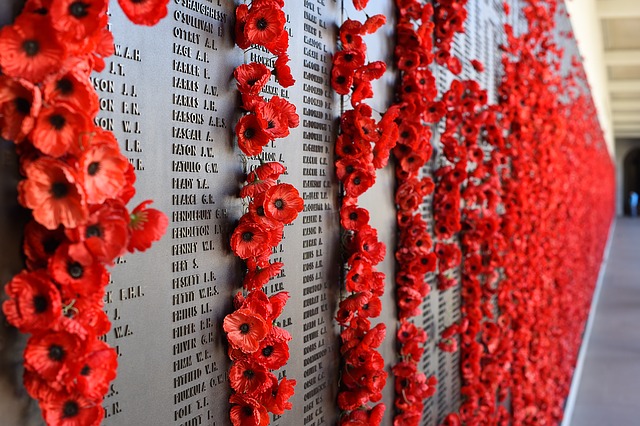 Paper & Plastics, Poppies
