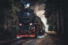 Railway Hoses