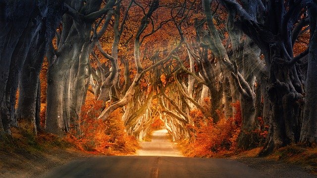Masterflex In Autumn